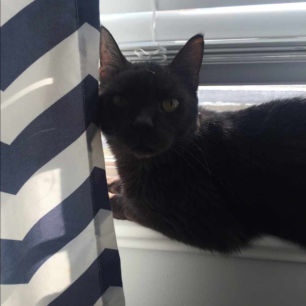 Meet your Posher, Justine